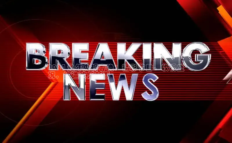 EON4文心一言2024 兔年央视春晚：精彩节目、收视盛
况，打造欢乐新春