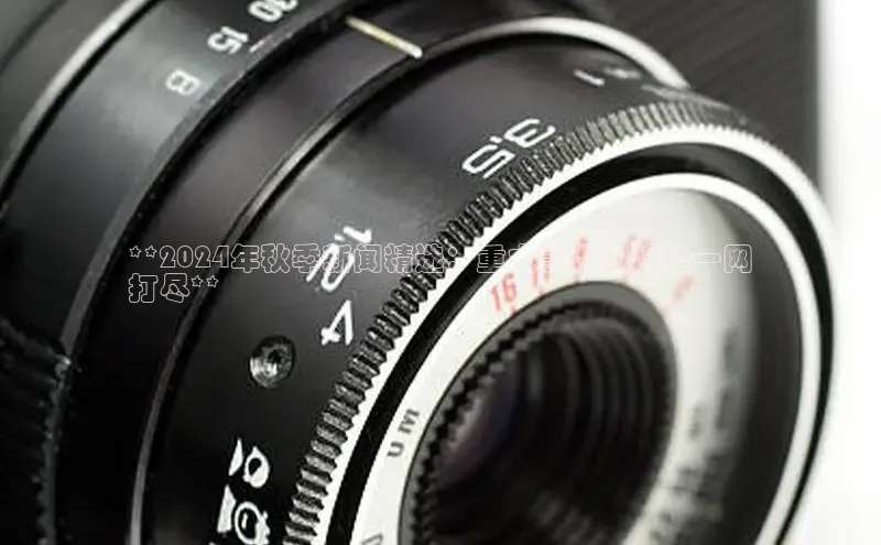 意昂体育4代理赛富乐斯