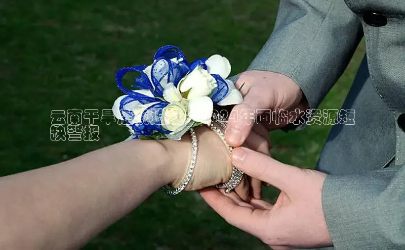 意昂体育4登录百度技术学院云南干旱危机迫近：2024年面临水资源短
缺警报