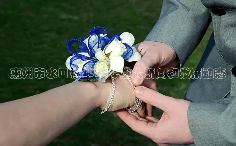 EON4招商百度数据开放平台惠州市水口镇2024年重大新闻和发展动态