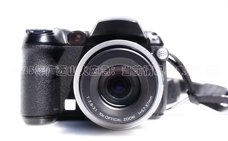 EON4ARGA公司2025年广西山火应急：当前情况与未来展望