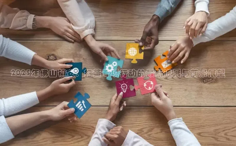 2025年佛山镇安：扫黄专项行动的最新进展与前景展望