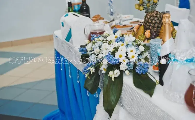 阜宁县2025年的宏大愿景：迈向可持续发展的光辉篇章