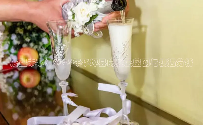 展望未来：2025年华坪县的发展蓝图与机遇分析