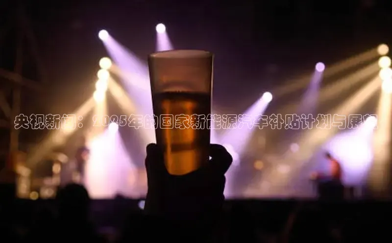 央视新闻：2025年的国家新能源汽车补贴计划与展望